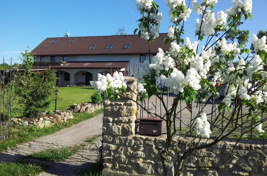 Mlada Boleslav House | Penzion Piano Ranch