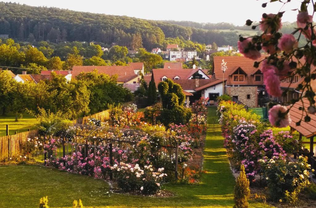 Radejov House | penzion ROSETA