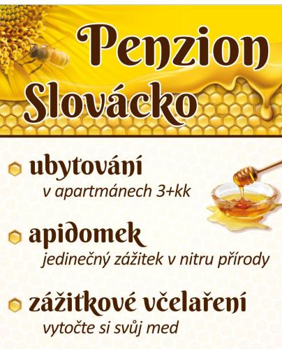 Ostrozska Nova Ves Apartment | PENZION SLOVÁCKO