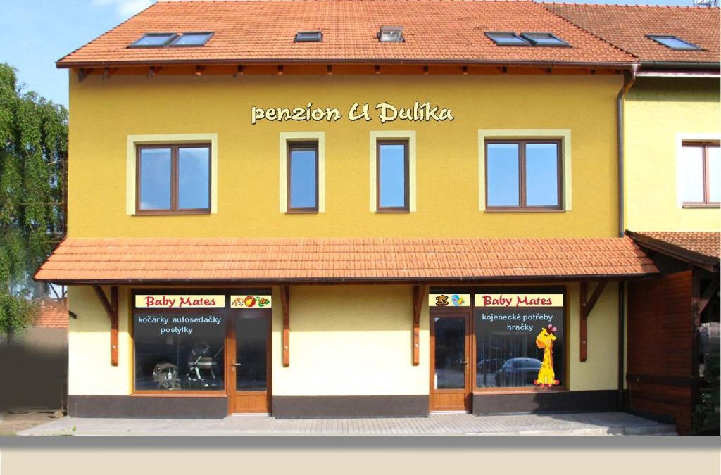 Veseli nad Moravou House | Penzion U Dulíka