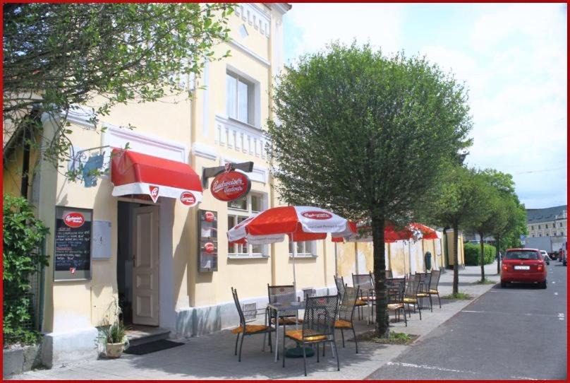 Frantiskovy Lazne House | Penzion U Modrého Slona