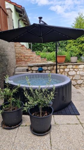 Klentnice House | Penzion Villa Verde Moravia