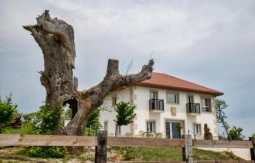 Vilardevos Ski Chalet | Pepiño de Tomonte