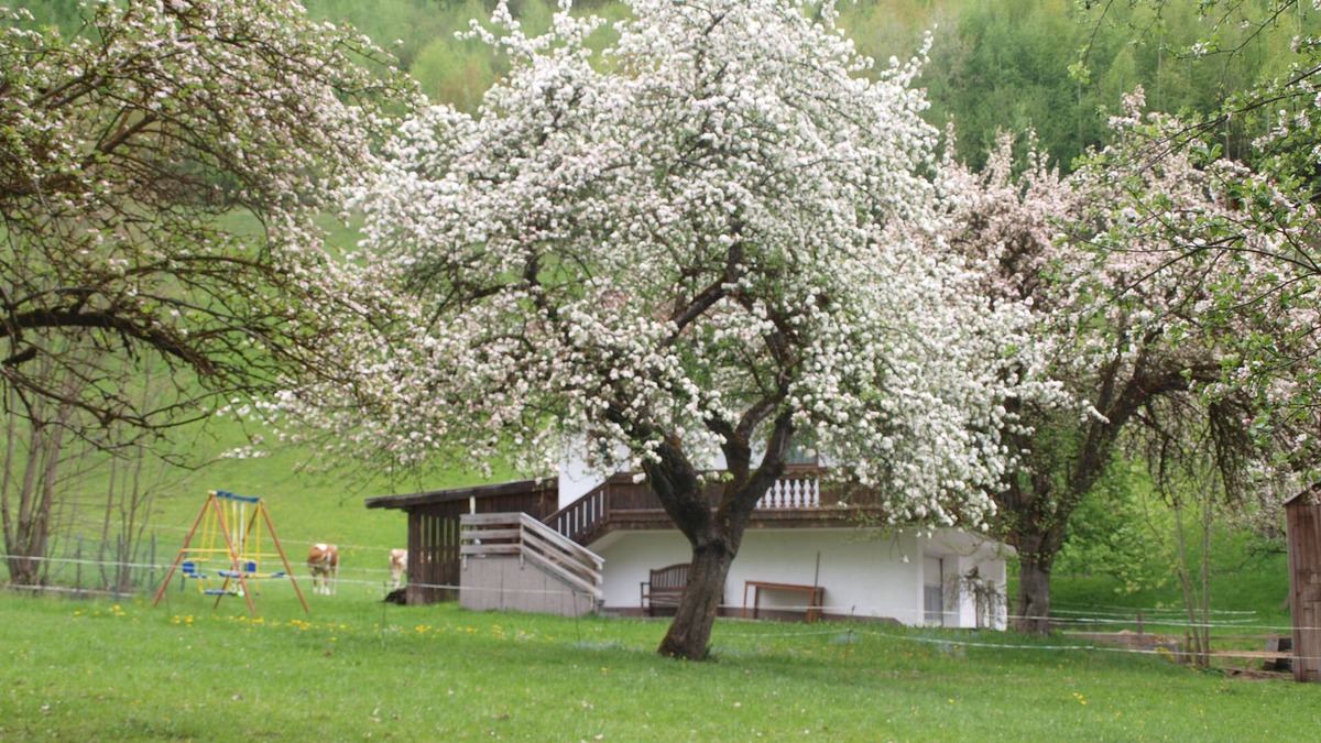 Helfenstein Ski Chalet | PERFECT HIDEAWAY House of nature - a luxury Chalet in a very idyllic area