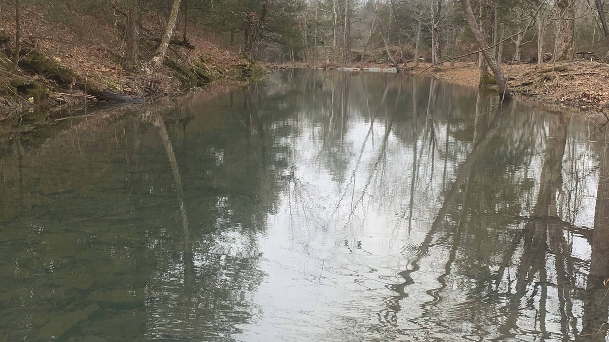 Myrtle RV Rental | Perfect RV campground in Ravenden Springs for a peaceful getaway