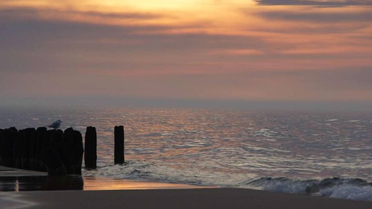 Mielno House | Perfectly equipped holiday homes, air conditioning