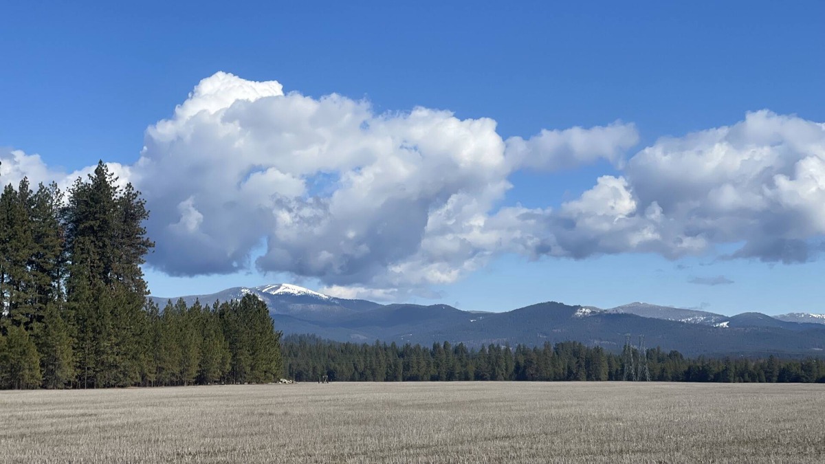 Colbert House | (pet friendly) Beautiful View
