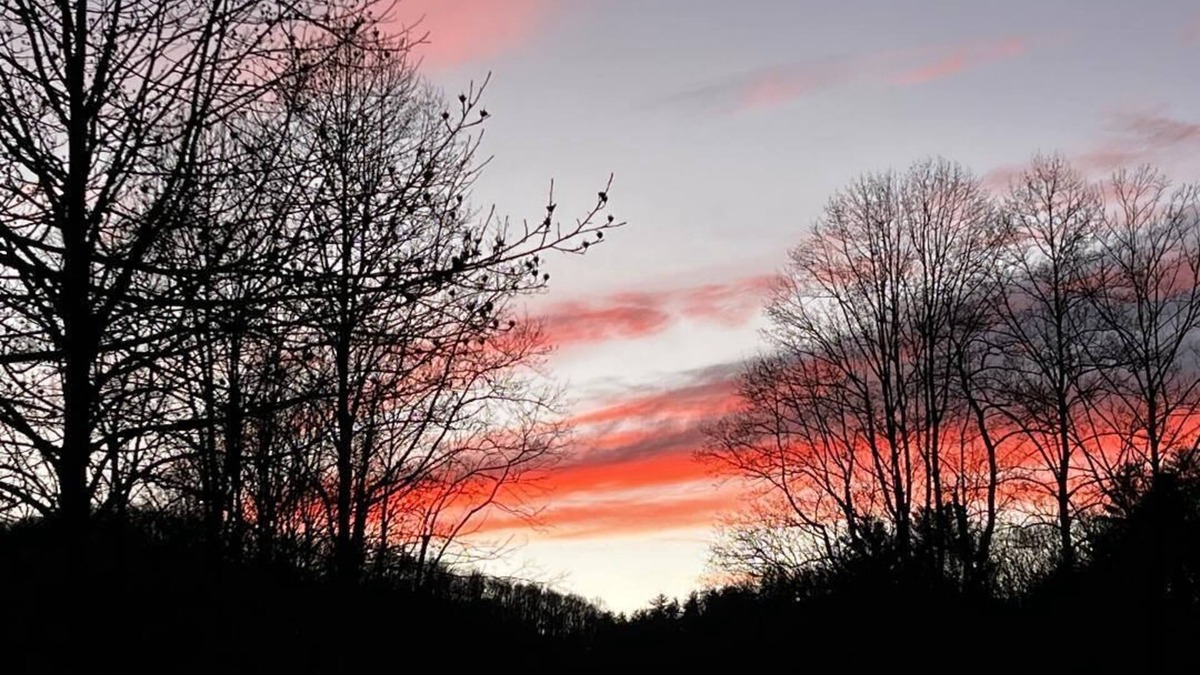 Suches Cabin | Pet Friendly Blue Ridge Mountain Cabin on the Toccoa River