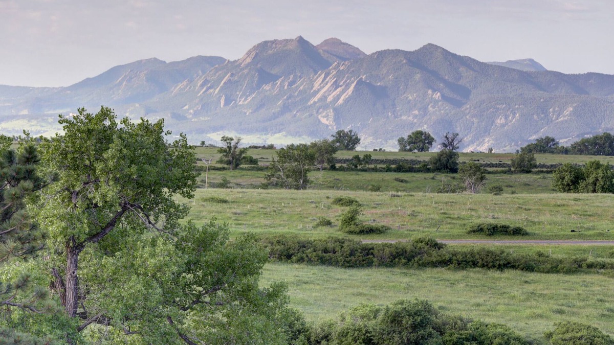 Longmont House | Pet Friendly Boulder Country Estate