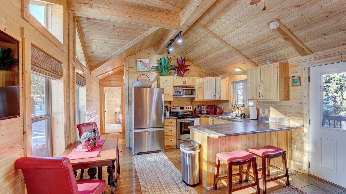 Bailey Cabin | Pet-Friendly Cabin Near Denver & Breck Fire Pit Hot Tub