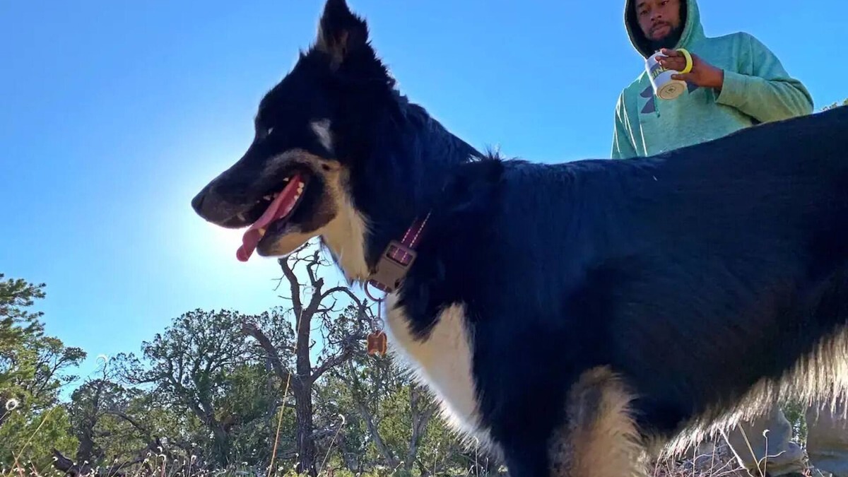 Quemado RV Rental | Pet-friendly camping in the mountainsnn
