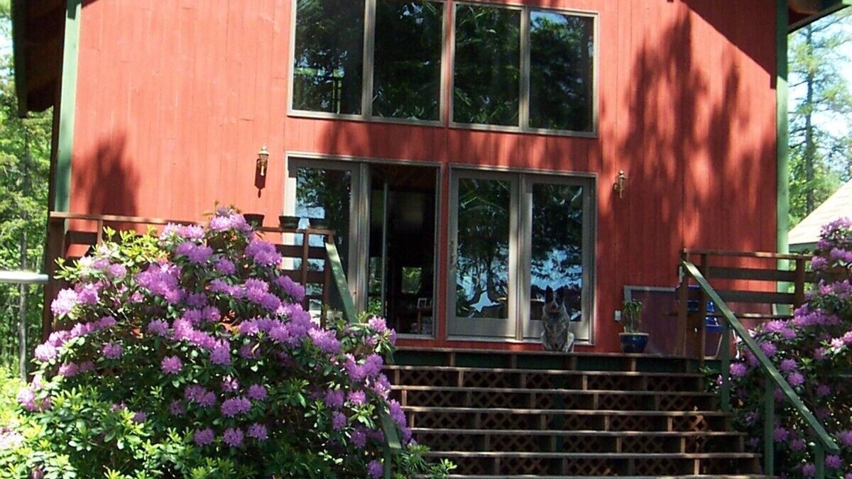 Bar Harbor House | Pet-Friendly Cathedral-Ceiling Pine Interior Home 4 Miles From Town, 1 From ANP