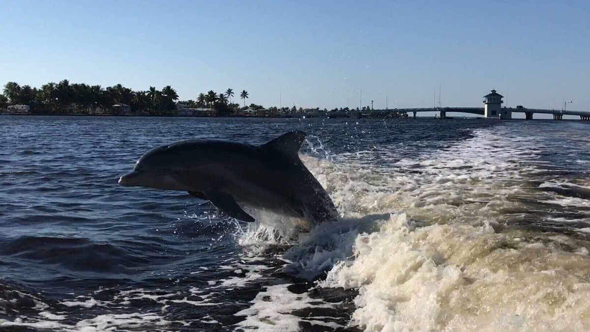 Matlacha Hotel | Pet-Friendly/Family-Friendly Waterfront Vacation Rental + Free Boat Dockage!
