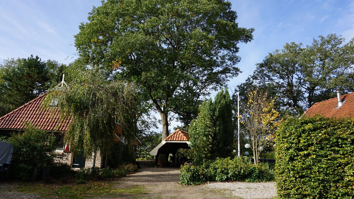 Eibergen Other | Pet-friendly farmhouse with a lot of privacy in a lakeside beach