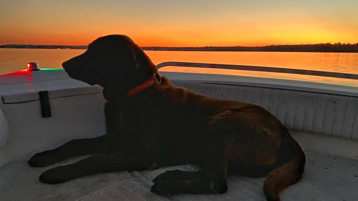 Alabama Gulf Coast House | Pet Friendly house on Fish River, private pier with kayaks