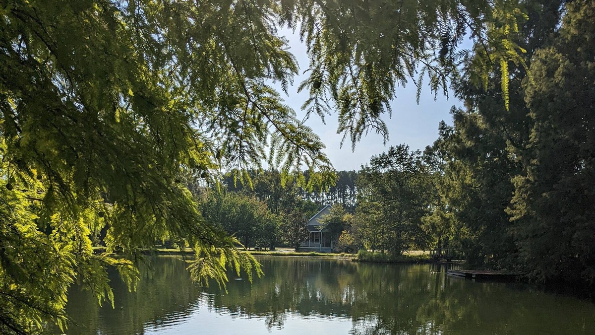 Folsom House | Pet friendly House with pool