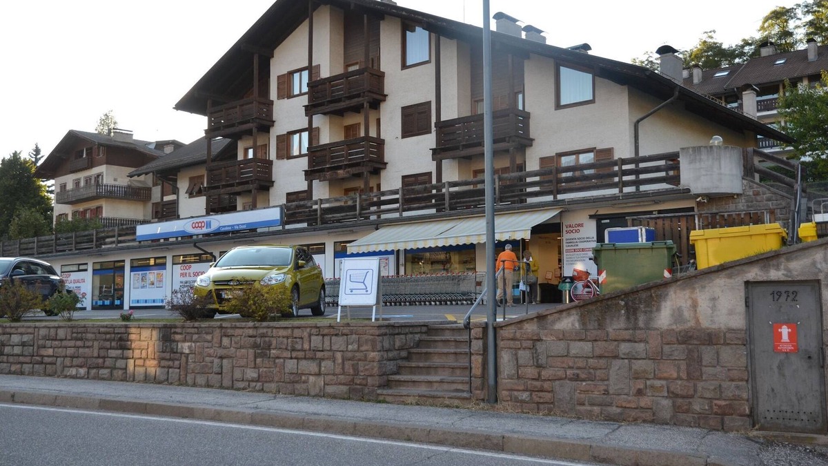 Cavalese Apartment | Pet-Friendly Mountain Home