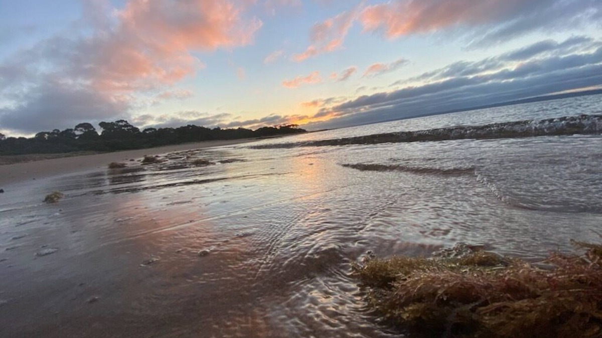 Phillip Island Cabin | Pet friendly Tiny bungalow - 5 minute walk to the beach!