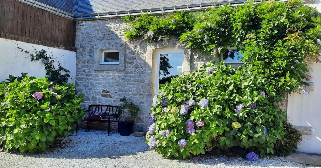 Kergrist House | Petit Paris