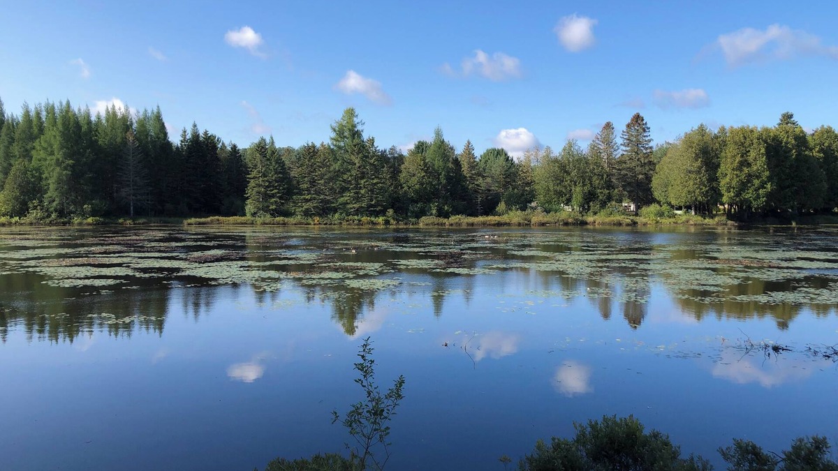 Val Morin Apartment | Petit Train du Nord - KM 39 - Cedar Creek GetAway