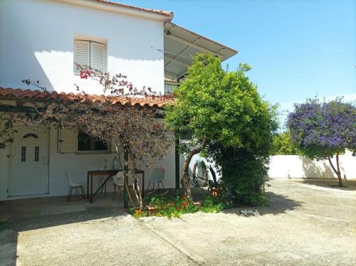 Petrochori House | Petrochori Memories Maisonette