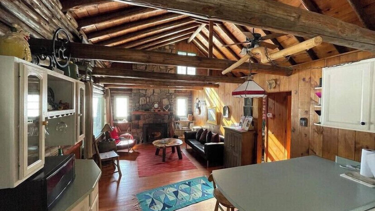 Northville House | PETS WELCOME ! ADIRONDACK LOG CABIN WALK TO BEACH