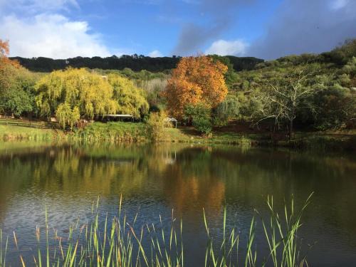 Paarl House | Picardie Guest Farm