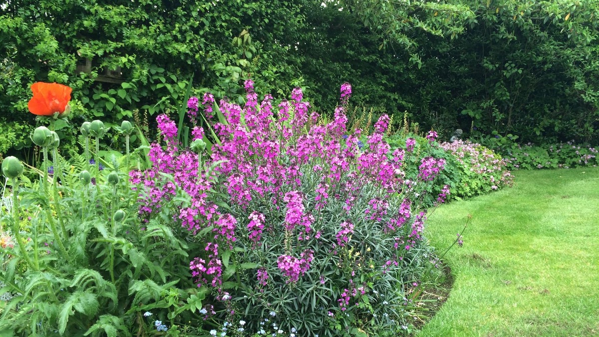 Pickmere House | Pickmere Country House