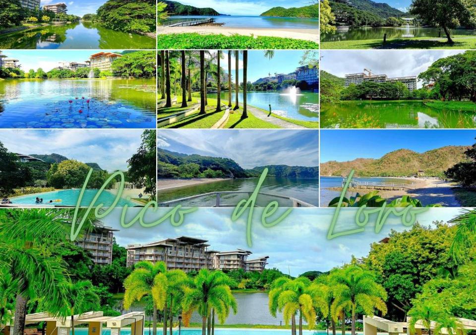 Nasugbu Apartment | Pico de Loro Condo Accommodation for Rent