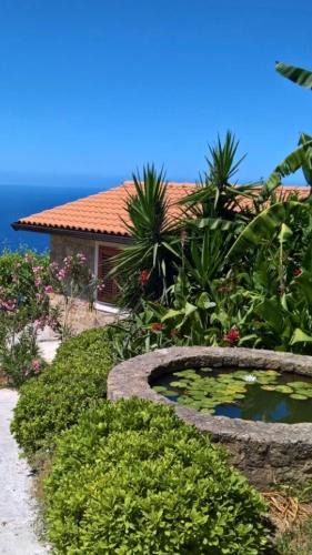 Pisciotta House | Pietra Fiorita Cottage