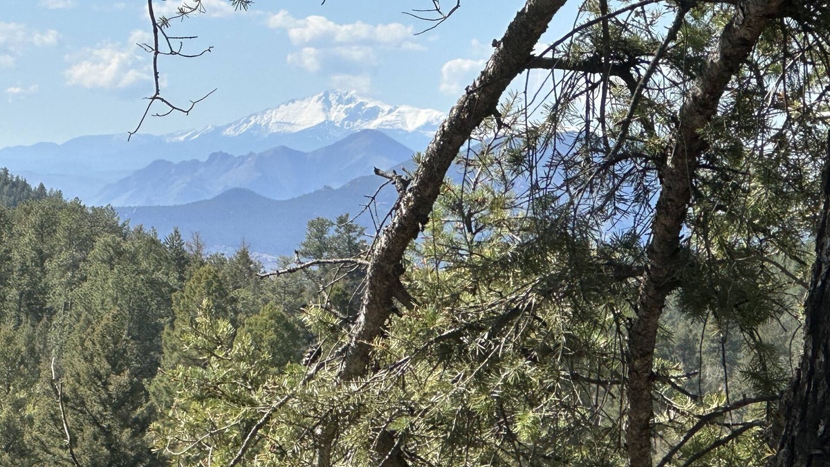 Richmond Hill Corridor House | Pikes View Guesthouse: Outdoor Adventure Retreatn 2 BEDRMS ~2 BATHS~ SLEEPS 5