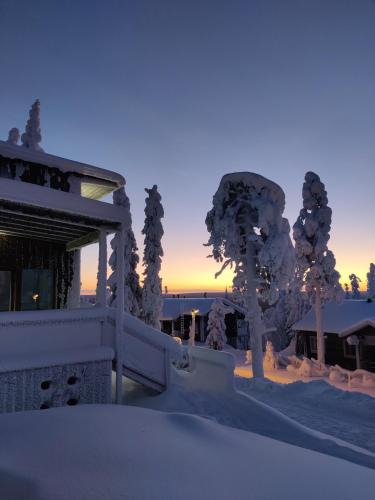 Syote Apartment | Pikkuhukka