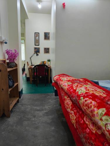 Shillong House | Pine Forest Home stay with Kitchen