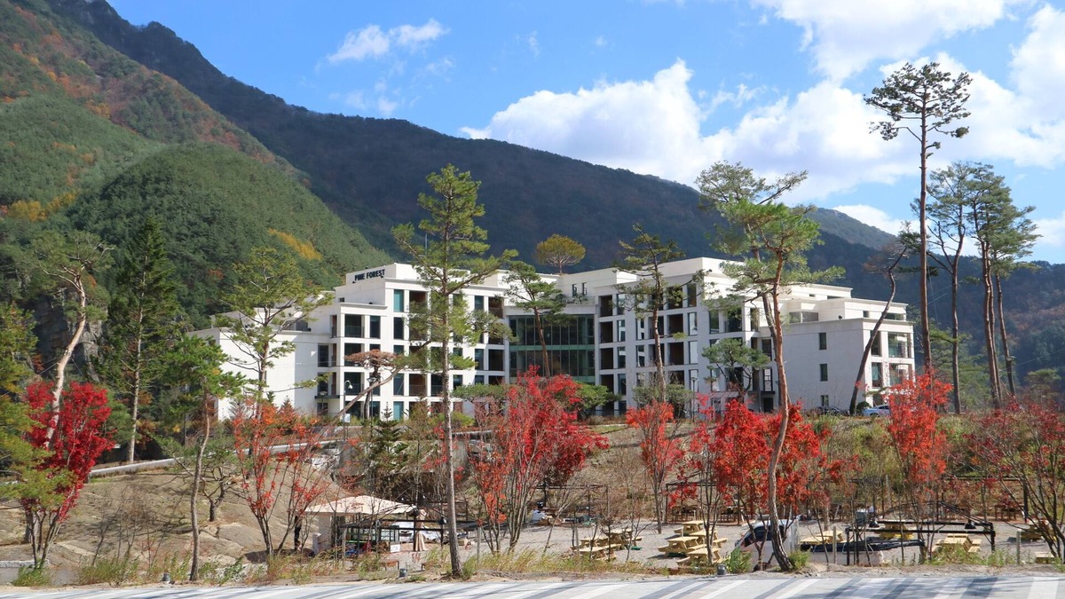 Jeongseon Apartment | Pine Forest