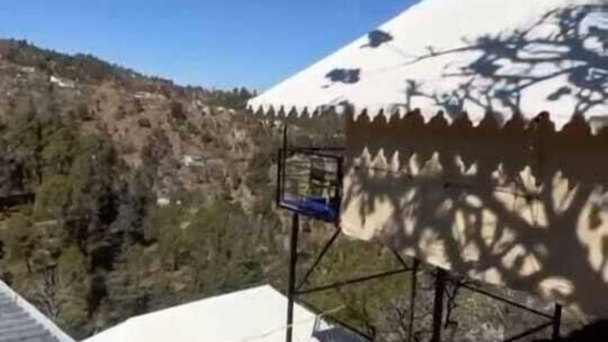 Kaul Cottage | Pine pioneer the eco resort