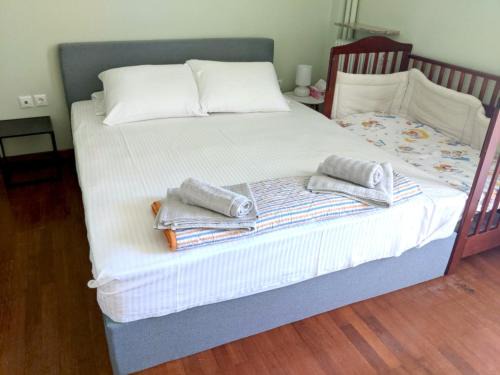 Nafplion City Centre Apartment | Pinetree House