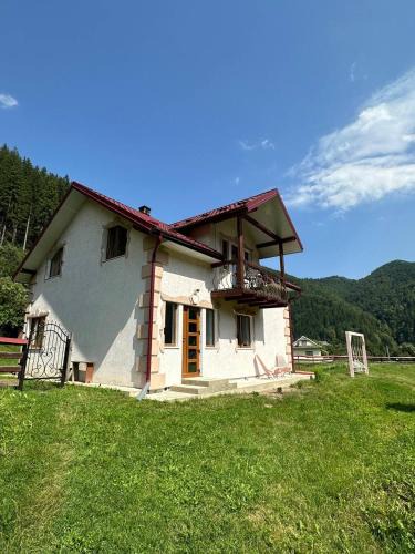Dobrovelychkivka Apartment | Pink House Karpaty
