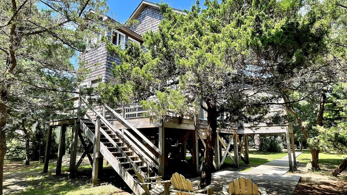Ocracoke House | Piper Green: Dog friendly on nearly an acre, privacy and tranquility.