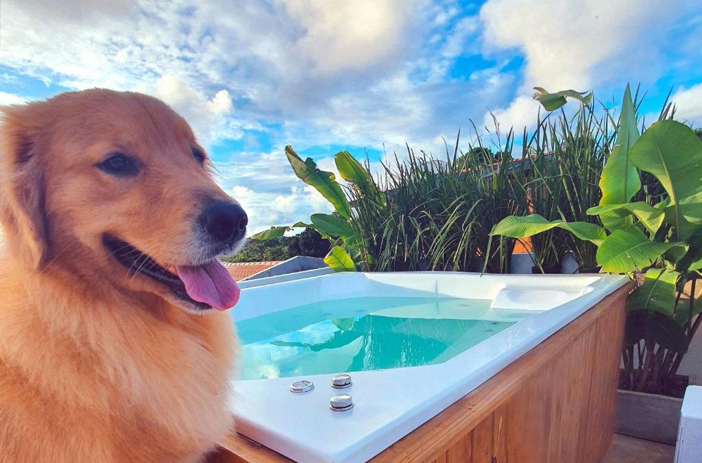 Serra Grande Apartment | Piscina Aquecida, Jacuzzi, internet veloz, no centro de Serra Grande - Apt Laranja - Vila Pitangueira