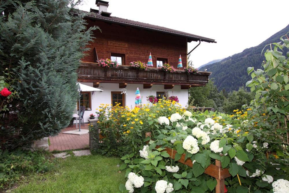 Kals am Grossglockner Apartment | Plattnerhof
