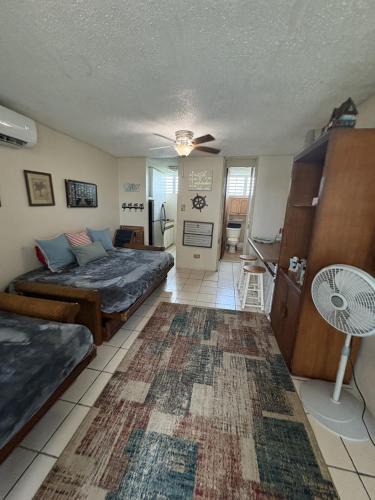 Vilomar Apartment | Playa Azul Luquillo