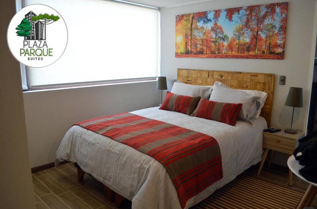 Concepcion Apartment | Plaza Parque Suites 1108