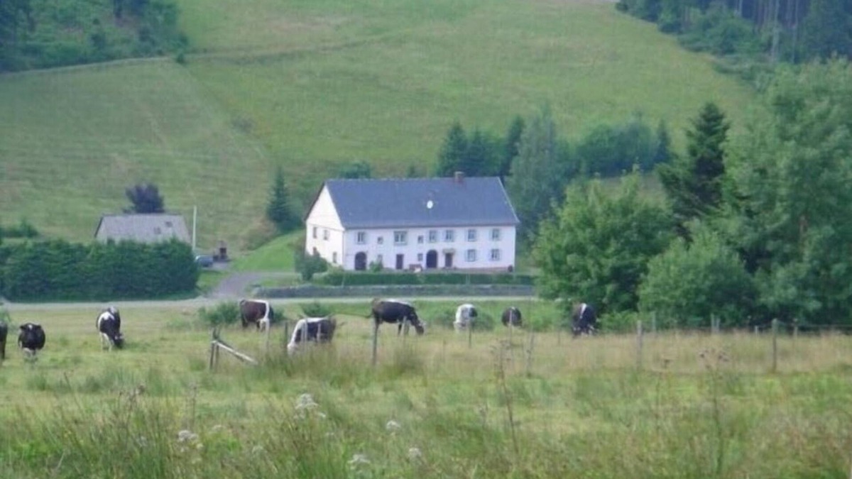Le Bonhomme Apartment | PLEASANT 8-PERSON APARTMENT IN A QUIET NATURAL SETTING NEAR LAC BLANC 900