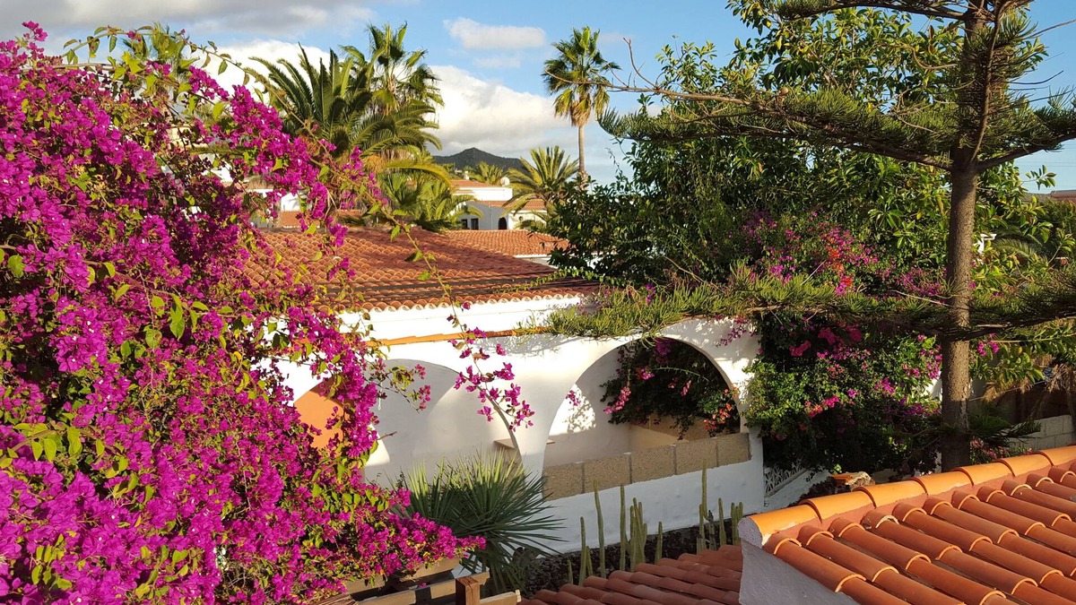Chayofa Apartment | PLEASANT APARTMENT 2/4 PEOPLE ON THE HEIGHTS OF LOS CRISTIANOS