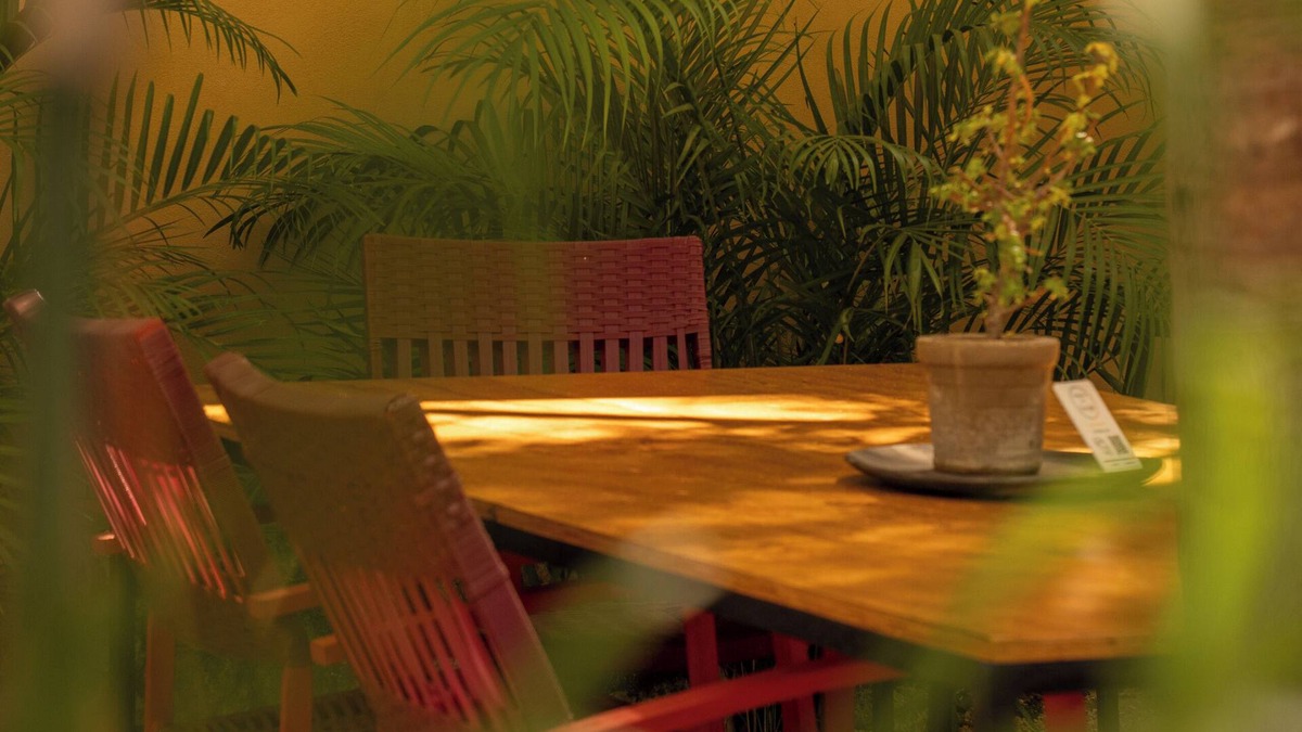 Ejidal Hotel | Plot 7 Cafe - Hotel. Beautiful and quiet Boutique Hotel, with cafeteria.