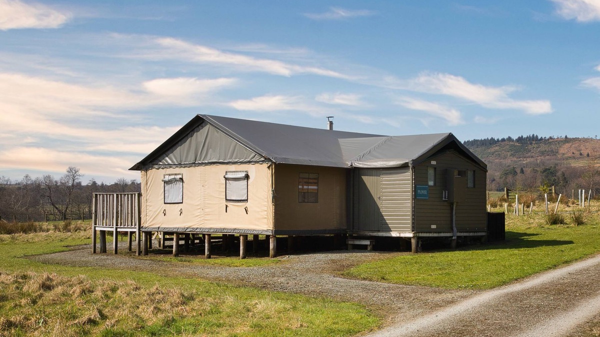 Preston Cabin | Plover at Bleasdale, Lancashire