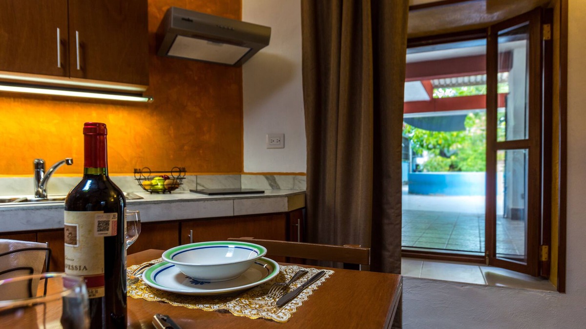 Centro Apartment | Plunge pool view! studio w/Netflix, wine cooler, etc. .9 mi. from central sq.