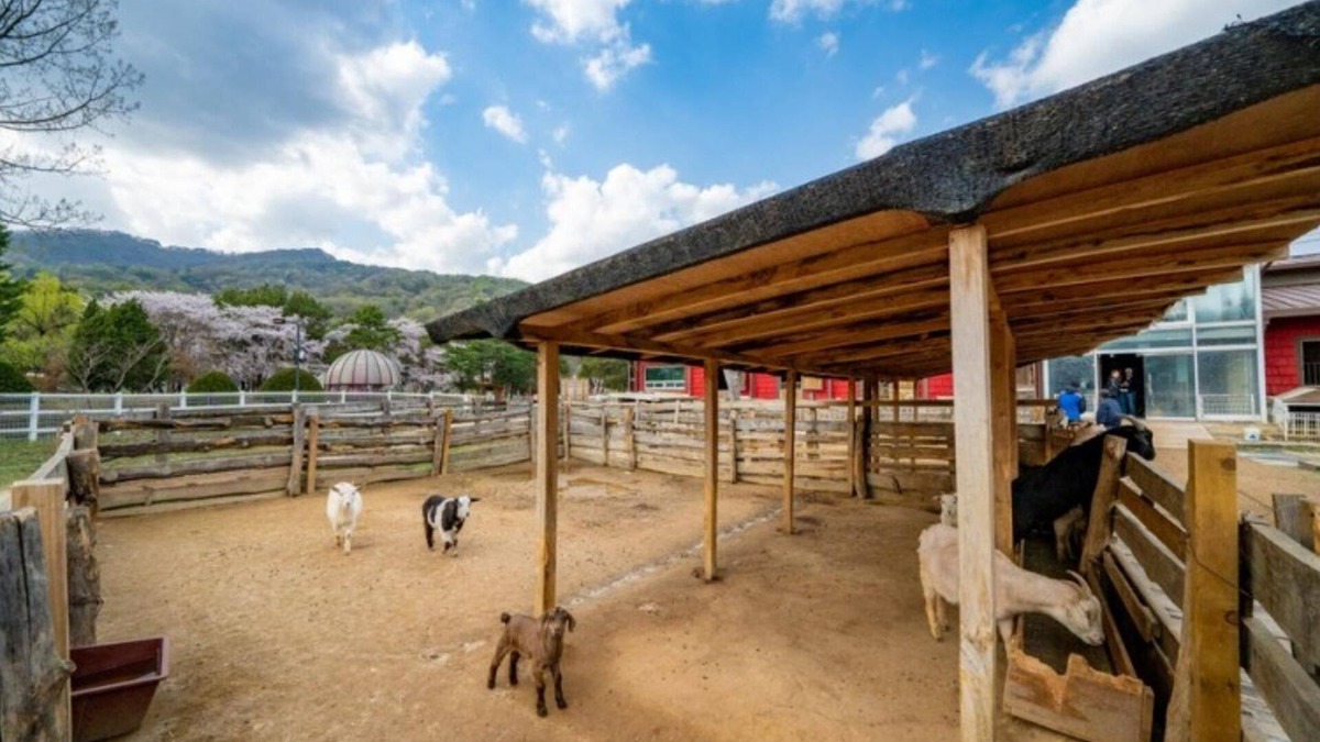 Pocheon House | Pocheon Seoundongsan Pension