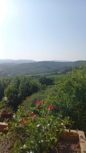 San Casciano in Val di Pesa Apartment | Podere Salceto, terrazza sul Chianti