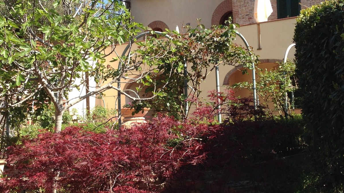 Iano Other | Podere le Monache - entire house in the tuscan hillside with spectacular view